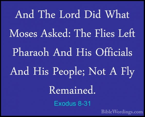 Exodus 8-31 - And The Lord Did What Moses Asked: The Flies Left PAnd The Lord Did What Moses Asked: The Flies Left Pharaoh And His Officials And His People; Not A Fly Remained. 