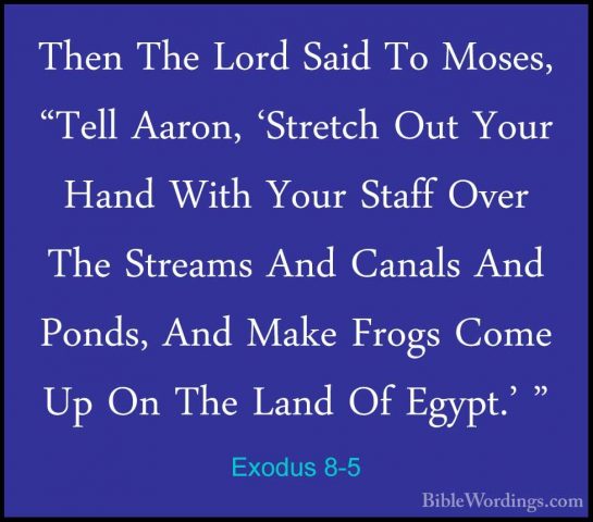 Exodus 8-5 - Then The Lord Said To Moses, "Tell Aaron, 'Stretch OThen The Lord Said To Moses, "Tell Aaron, 'Stretch Out Your Hand With Your Staff Over The Streams And Canals And Ponds, And Make Frogs Come Up On The Land Of Egypt.' " 