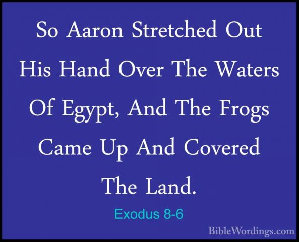 Exodus 8-6 - So Aaron Stretched Out His Hand Over The Waters Of ESo Aaron Stretched Out His Hand Over The Waters Of Egypt, And The Frogs Came Up And Covered The Land. 