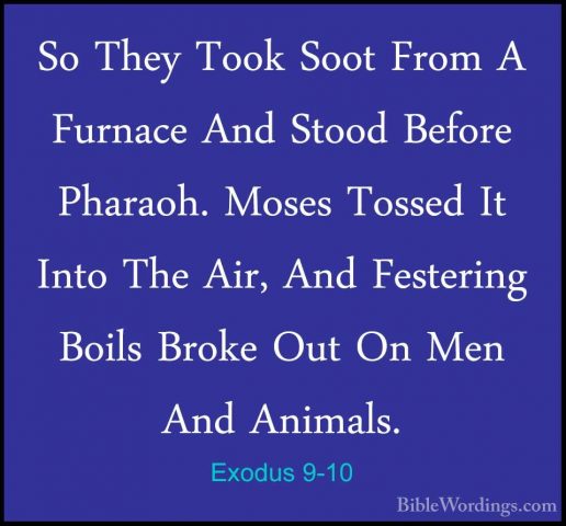 Exodus 9-10 - So They Took Soot From A Furnace And Stood Before PSo They Took Soot From A Furnace And Stood Before Pharaoh. Moses Tossed It Into The Air, And Festering Boils Broke Out On Men And Animals. 