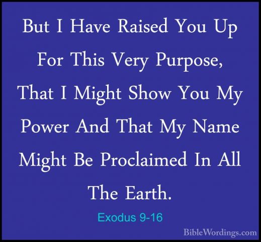 Exodus 9-16 - But I Have Raised You Up For This Very Purpose, ThaBut I Have Raised You Up For This Very Purpose, That I Might Show You My Power And That My Name Might Be Proclaimed In All The Earth. 