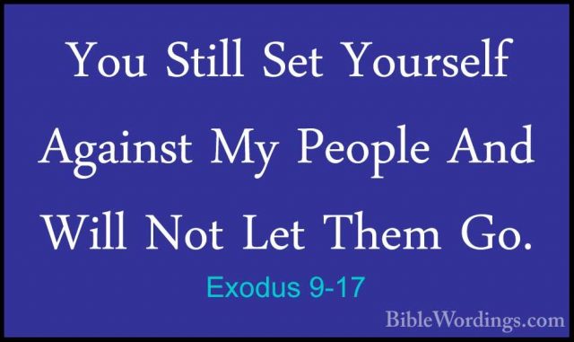 Exodus 9-17 - You Still Set Yourself Against My People And Will NYou Still Set Yourself Against My People And Will Not Let Them Go. 