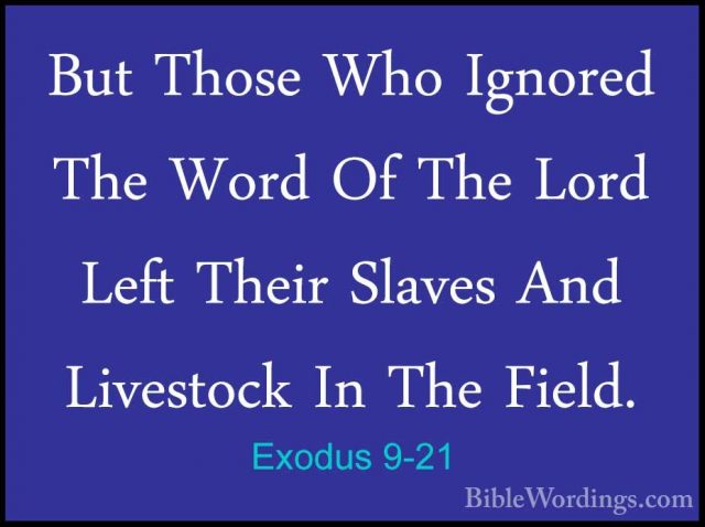 Exodus 9-21 - But Those Who Ignored The Word Of The Lord Left TheBut Those Who Ignored The Word Of The Lord Left Their Slaves And Livestock In The Field. 