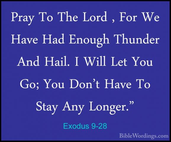 Exodus 9-28 - Pray To The Lord , For We Have Had Enough Thunder APray To The Lord , For We Have Had Enough Thunder And Hail. I Will Let You Go; You Don't Have To Stay Any Longer." 