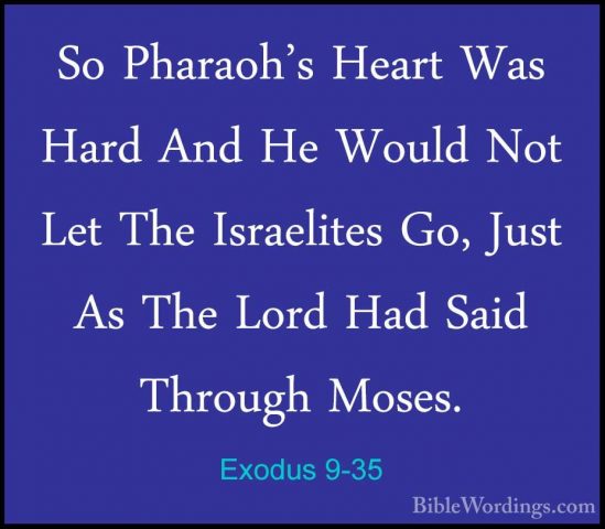 Exodus 9-35 - So Pharaoh's Heart Was Hard And He Would Not Let ThSo Pharaoh's Heart Was Hard And He Would Not Let The Israelites Go, Just As The Lord Had Said Through Moses.