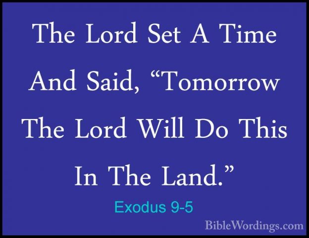 Exodus 9-5 - The Lord Set A Time And Said, "Tomorrow The Lord WilThe Lord Set A Time And Said, "Tomorrow The Lord Will Do This In The Land." 