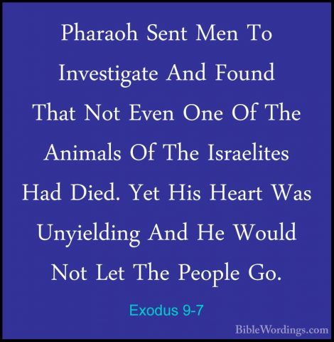 Exodus 9-7 - Pharaoh Sent Men To Investigate And Found That Not EPharaoh Sent Men To Investigate And Found That Not Even One Of The Animals Of The Israelites Had Died. Yet His Heart Was Unyielding And He Would Not Let The People Go. 