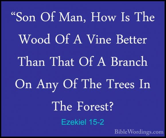 Ezekiel 15-2 - "Son Of Man, How Is The Wood Of A Vine Better Than"Son Of Man, How Is The Wood Of A Vine Better Than That Of A Branch On Any Of The Trees In The Forest? 
