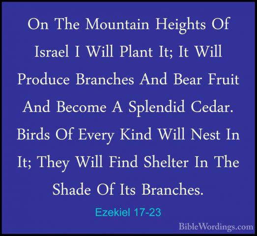 Ezekiel 17-23 - On The Mountain Heights Of Israel I Will Plant ItOn The Mountain Heights Of Israel I Will Plant It; It Will Produce Branches And Bear Fruit And Become A Splendid Cedar. Birds Of Every Kind Will Nest In It; They Will Find Shelter In The Shade Of Its Branches. 