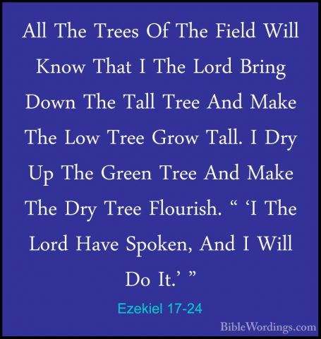 Ezekiel 17-24 - All The Trees Of The Field Will Know That I The LAll The Trees Of The Field Will Know That I The Lord Bring Down The Tall Tree And Make The Low Tree Grow Tall. I Dry Up The Green Tree And Make The Dry Tree Flourish. " 'I The Lord Have Spoken, And I Will Do It.' "