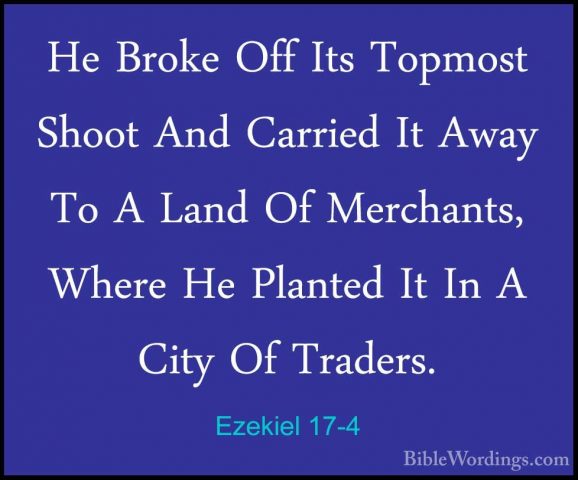 Ezekiel 17-4 - He Broke Off Its Topmost Shoot And Carried It AwayHe Broke Off Its Topmost Shoot And Carried It Away To A Land Of Merchants, Where He Planted It In A City Of Traders. 