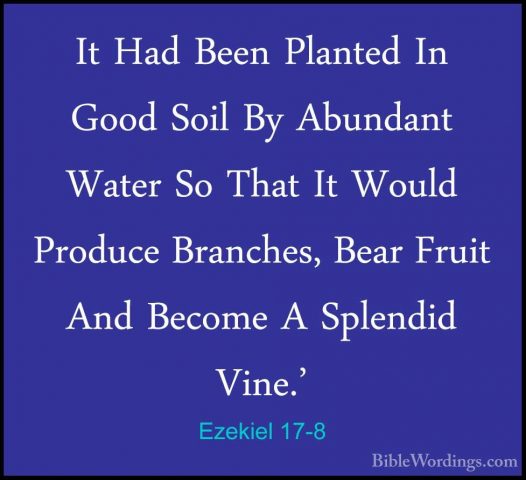 Ezekiel 17-8 - It Had Been Planted In Good Soil By Abundant WaterIt Had Been Planted In Good Soil By Abundant Water So That It Would Produce Branches, Bear Fruit And Become A Splendid Vine.' 