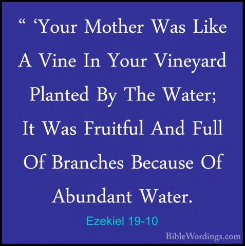 Ezekiel 19-10 - " 'Your Mother Was Like A Vine In Your Vineyard P" 'Your Mother Was Like A Vine In Your Vineyard Planted By The Water; It Was Fruitful And Full Of Branches Because Of Abundant Water. 