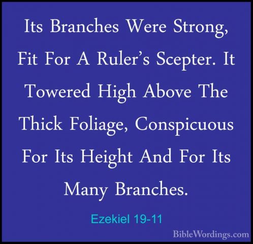 Ezekiel 19-11 - Its Branches Were Strong, Fit For A Ruler's SceptIts Branches Were Strong, Fit For A Ruler's Scepter. It Towered High Above The Thick Foliage, Conspicuous For Its Height And For Its Many Branches. 