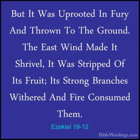 Ezekiel 19-12 - But It Was Uprooted In Fury And Thrown To The GroBut It Was Uprooted In Fury And Thrown To The Ground. The East Wind Made It Shrivel, It Was Stripped Of Its Fruit; Its Strong Branches Withered And Fire Consumed Them. 