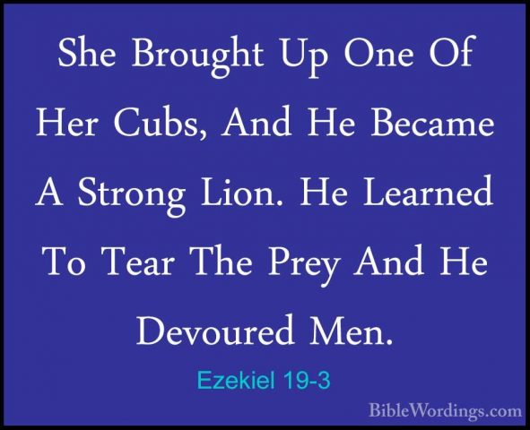 Ezekiel 19-3 - She Brought Up One Of Her Cubs, And He Became A StShe Brought Up One Of Her Cubs, And He Became A Strong Lion. He Learned To Tear The Prey And He Devoured Men. 