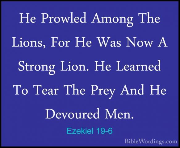 Ezekiel 19-6 - He Prowled Among The Lions, For He Was Now A StronHe Prowled Among The Lions, For He Was Now A Strong Lion. He Learned To Tear The Prey And He Devoured Men. 