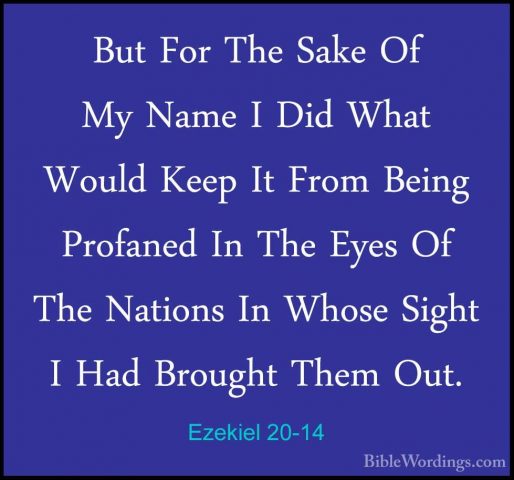 Ezekiel 20-14 - But For The Sake Of My Name I Did What Would KeepBut For The Sake Of My Name I Did What Would Keep It From Being Profaned In The Eyes Of The Nations In Whose Sight I Had Brought Them Out. 