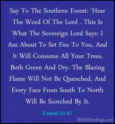 Ezekiel 20-47 - Say To The Southern Forest: 'Hear The Word Of TheSay To The Southern Forest: 'Hear The Word Of The Lord . This Is What The Sovereign Lord Says: I Am About To Set Fire To You, And It Will Consume All Your Trees, Both Green And Dry. The Blazing Flame Will Not Be Quenched, And Every Face From South To North Will Be Scorched By It. 