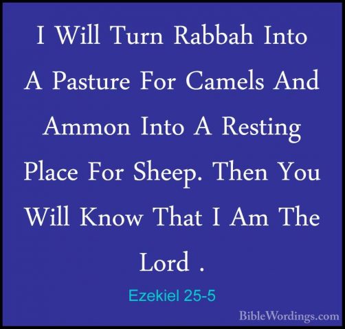 Ezekiel 25-5 - I Will Turn Rabbah Into A Pasture For Camels And AI Will Turn Rabbah Into A Pasture For Camels And Ammon Into A Resting Place For Sheep. Then You Will Know That I Am The Lord . 