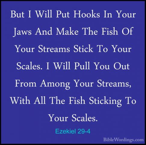 Ezekiel 29-4 - But I Will Put Hooks In Your Jaws And Make The FisBut I Will Put Hooks In Your Jaws And Make The Fish Of Your Streams Stick To Your Scales. I Will Pull You Out From Among Your Streams, With All The Fish Sticking To Your Scales. 