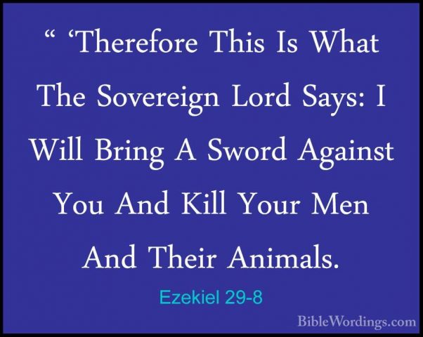 Ezekiel 29-8 - " 'Therefore This Is What The Sovereign Lord Says:" 'Therefore This Is What The Sovereign Lord Says: I Will Bring A Sword Against You And Kill Your Men And Their Animals. 