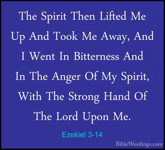 Ezekiel 3-14 - The Spirit Then Lifted Me Up And Took Me Away, AndThe Spirit Then Lifted Me Up And Took Me Away, And I Went In Bitterness And In The Anger Of My Spirit, With The Strong Hand Of The Lord Upon Me. 