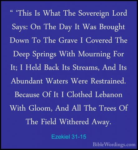 Ezekiel 31-15 - " 'This Is What The Sovereign Lord Says: On The D" 'This Is What The Sovereign Lord Says: On The Day It Was Brought Down To The Grave I Covered The Deep Springs With Mourning For It; I Held Back Its Streams, And Its Abundant Waters Were Restrained. Because Of It I Clothed Lebanon With Gloom, And All The Trees Of The Field Withered Away. 