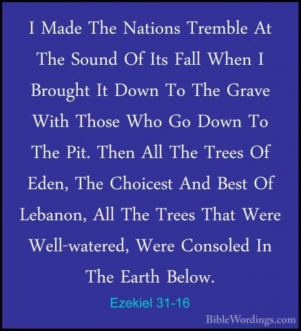 Ezekiel 31-16 - I Made The Nations Tremble At The Sound Of Its FaI Made The Nations Tremble At The Sound Of Its Fall When I Brought It Down To The Grave With Those Who Go Down To The Pit. Then All The Trees Of Eden, The Choicest And Best Of Lebanon, All The Trees That Were Well-watered, Were Consoled In The Earth Below. 