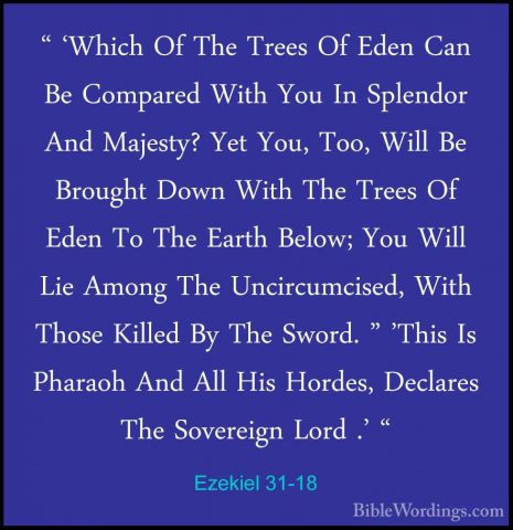 Ezekiel 31-18 - " 'Which Of The Trees Of Eden Can Be Compared Wit" 'Which Of The Trees Of Eden Can Be Compared With You In Splendor And Majesty? Yet You, Too, Will Be Brought Down With The Trees Of Eden To The Earth Below; You Will Lie Among The Uncircumcised, With Those Killed By The Sword. " 'This Is Pharaoh And All His Hordes, Declares The Sovereign Lord .' "