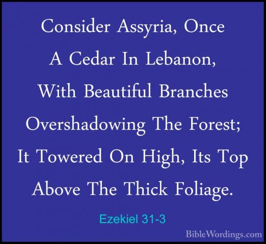 Ezekiel 31-3 - Consider Assyria, Once A Cedar In Lebanon, With BeConsider Assyria, Once A Cedar In Lebanon, With Beautiful Branches Overshadowing The Forest; It Towered On High, Its Top Above The Thick Foliage. 