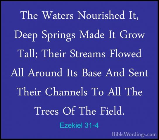 Ezekiel 31-4 - The Waters Nourished It, Deep Springs Made It GrowThe Waters Nourished It, Deep Springs Made It Grow Tall; Their Streams Flowed All Around Its Base And Sent Their Channels To All The Trees Of The Field. 