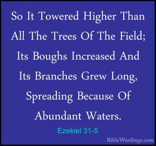 Ezekiel 31-5 - So It Towered Higher Than All The Trees Of The FieSo It Towered Higher Than All The Trees Of The Field; Its Boughs Increased And Its Branches Grew Long, Spreading Because Of Abundant Waters. 