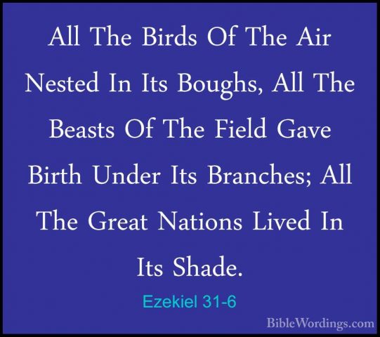 Ezekiel 31-6 - All The Birds Of The Air Nested In Its Boughs, AllAll The Birds Of The Air Nested In Its Boughs, All The Beasts Of The Field Gave Birth Under Its Branches; All The Great Nations Lived In Its Shade. 