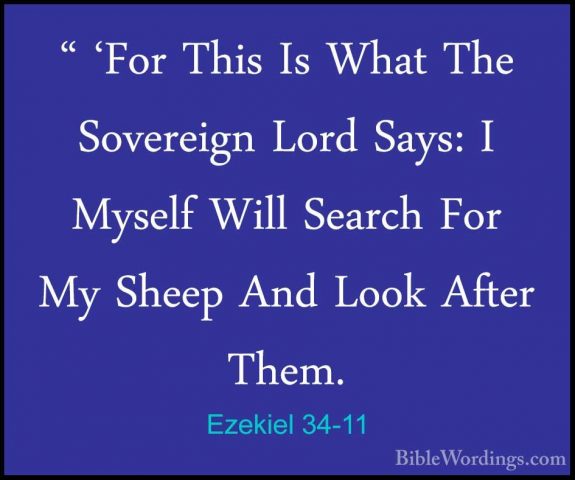 Ezekiel 34-11 - " 'For This Is What The Sovereign Lord Says: I My" 'For This Is What The Sovereign Lord Says: I Myself Will Search For My Sheep And Look After Them. 