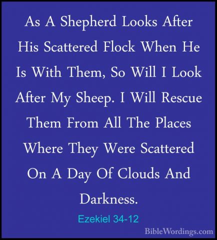 Ezekiel 34-12 - As A Shepherd Looks After His Scattered Flock WheAs A Shepherd Looks After His Scattered Flock When He Is With Them, So Will I Look After My Sheep. I Will Rescue Them From All The Places Where They Were Scattered On A Day Of Clouds And Darkness. 