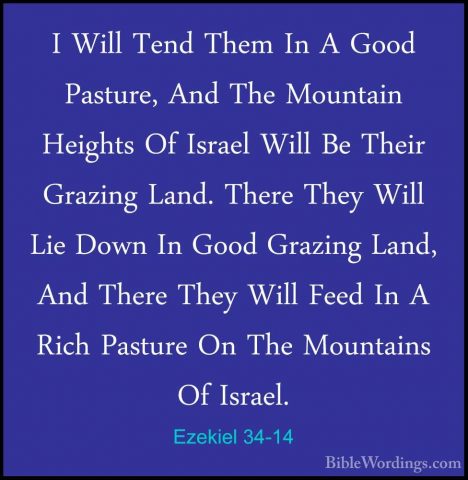 Ezekiel 34-14 - I Will Tend Them In A Good Pasture, And The MountI Will Tend Them In A Good Pasture, And The Mountain Heights Of Israel Will Be Their Grazing Land. There They Will Lie Down In Good Grazing Land, And There They Will Feed In A Rich Pasture On The Mountains Of Israel. 
