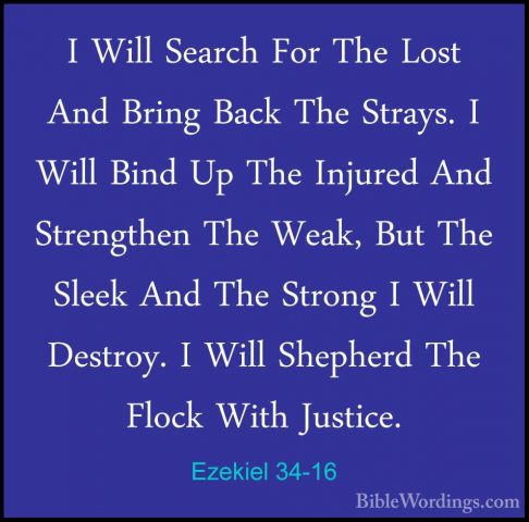 Ezekiel 34-16 - I Will Search For The Lost And Bring Back The StrI Will Search For The Lost And Bring Back The Strays. I Will Bind Up The Injured And Strengthen The Weak, But The Sleek And The Strong I Will Destroy. I Will Shepherd The Flock With Justice. 