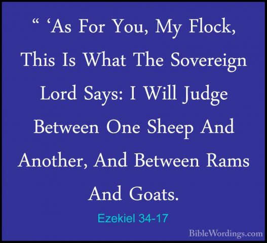 Ezekiel 34-17 - " 'As For You, My Flock, This Is What The Soverei" 'As For You, My Flock, This Is What The Sovereign Lord Says: I Will Judge Between One Sheep And Another, And Between Rams And Goats. 