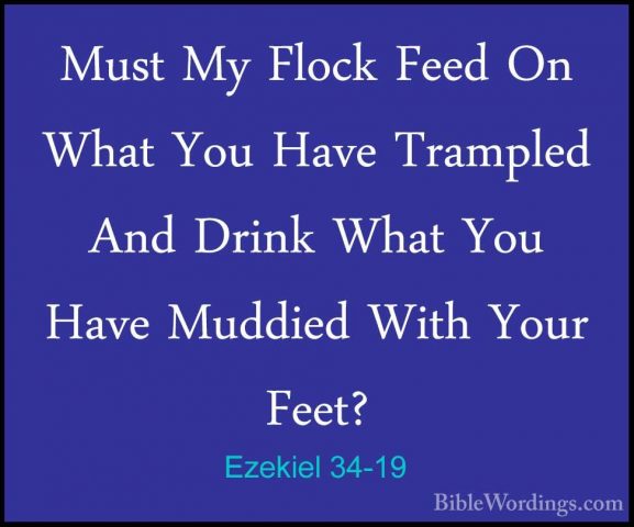 Ezekiel 34-19 - Must My Flock Feed On What You Have Trampled AndMust My Flock Feed On What You Have Trampled And Drink What You Have Muddied With Your Feet? 