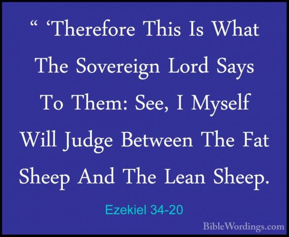 Ezekiel 34-20 - " 'Therefore This Is What The Sovereign Lord Says" 'Therefore This Is What The Sovereign Lord Says To Them: See, I Myself Will Judge Between The Fat Sheep And The Lean Sheep. 