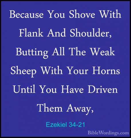 Ezekiel 34-21 - Because You Shove With Flank And Shoulder, ButtinBecause You Shove With Flank And Shoulder, Butting All The Weak Sheep With Your Horns Until You Have Driven Them Away, 