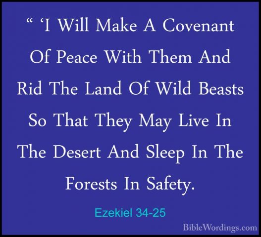 Ezekiel 34-25 - " 'I Will Make A Covenant Of Peace With Them And" 'I Will Make A Covenant Of Peace With Them And Rid The Land Of Wild Beasts So That They May Live In The Desert And Sleep In The Forests In Safety. 