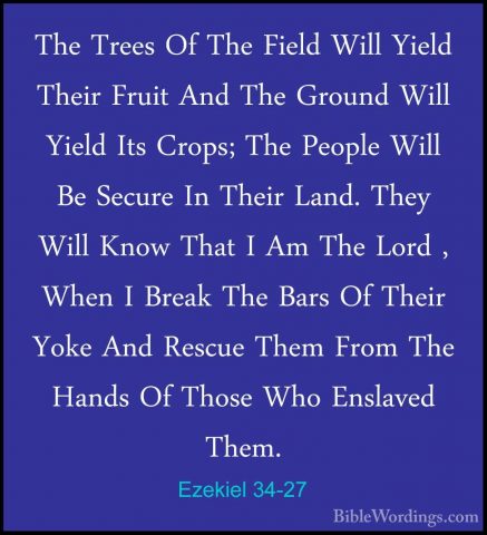 Ezekiel 34-27 - The Trees Of The Field Will Yield Their Fruit AndThe Trees Of The Field Will Yield Their Fruit And The Ground Will Yield Its Crops; The People Will Be Secure In Their Land. They Will Know That I Am The Lord , When I Break The Bars Of Their Yoke And Rescue Them From The Hands Of Those Who Enslaved Them. 