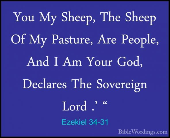 Ezekiel 34-31 - You My Sheep, The Sheep Of My Pasture, Are PeopleYou My Sheep, The Sheep Of My Pasture, Are People, And I Am Your God, Declares The Sovereign Lord .' "