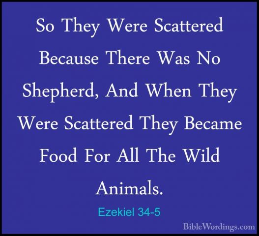 Ezekiel 34-5 - So They Were Scattered Because There Was No ShepheSo They Were Scattered Because There Was No Shepherd, And When They Were Scattered They Became Food For All The Wild Animals. 