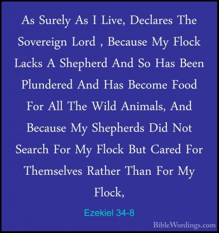 Ezekiel 34-8 - As Surely As I Live, Declares The Sovereign Lord ,As Surely As I Live, Declares The Sovereign Lord , Because My Flock Lacks A Shepherd And So Has Been Plundered And Has Become Food For All The Wild Animals, And Because My Shepherds Did Not Search For My Flock But Cared For Themselves Rather Than For My Flock, 
