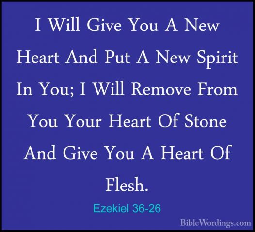 Ezekiel 36-26 - I Will Give You A New Heart And Put A New SpiritI Will Give You A New Heart And Put A New Spirit In You; I Will Remove From You Your Heart Of Stone And Give You A Heart Of Flesh. 