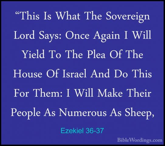 Ezekiel 36-37 - "This Is What The Sovereign Lord Says: Once Again"This Is What The Sovereign Lord Says: Once Again I Will Yield To The Plea Of The House Of Israel And Do This For Them: I Will Make Their People As Numerous As Sheep, 