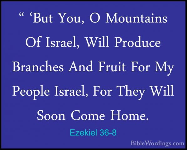 Ezekiel 36-8 - " 'But You, O Mountains Of Israel, Will Produce Br" 'But You, O Mountains Of Israel, Will Produce Branches And Fruit For My People Israel, For They Will Soon Come Home. 